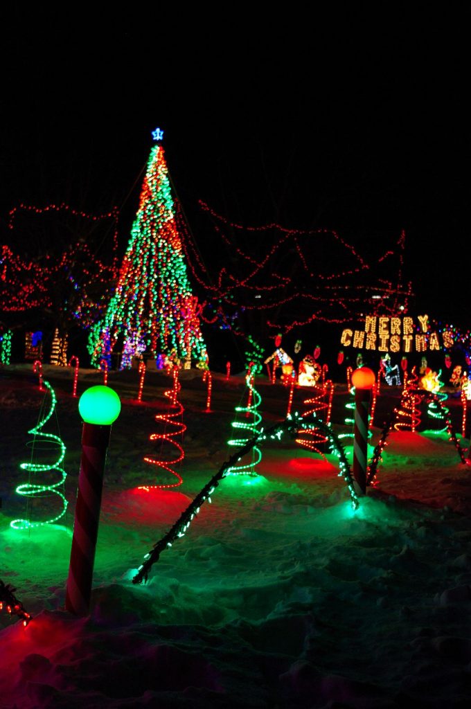 Mega Tree Plymouth Lights